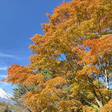 富士山と紅葉