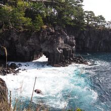 城ケ崎自然研究路コース