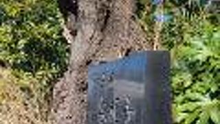 お寺には見えない＾＾；