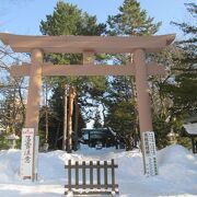 冬の琴似神社