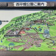 河津桜に加えて富士山と酒匂川流域の眺め良好