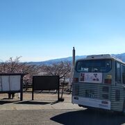 独特なカラーリングが健在