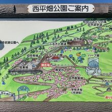 公園の案内図