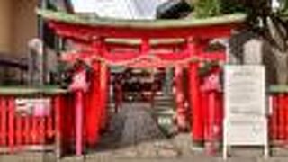 日光に浴びる朱色の鮮やかな姿