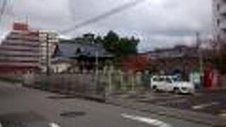 ごく普通のお寺という感じで、隣の駐車場と違和感なくマッチ