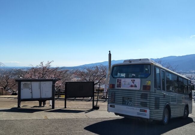 独特なカラーリングが健在