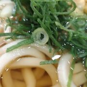 本場の讃岐うどんを満喫