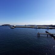 東京湾内最大の自然島