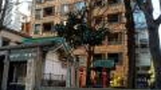 新しいお召し物