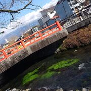 湧玉池の豊かな水が神田川へ