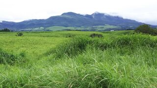 やまなみハイウエイから見るくじゅう連山や花々は素晴らしい！