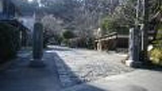 鎌倉有数の花の名寺