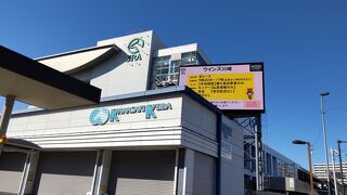 外周から 拝見！