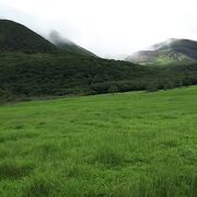 湿原の草花、鳥のさえずり、高原をそよ風の中を木道を歩く。