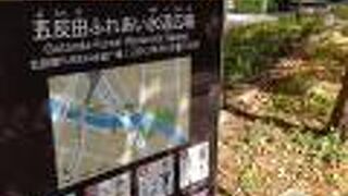目黒川沿いの憩いの公園