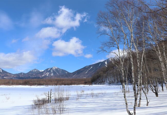 冬の小田代ヶ原は美しい