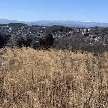 都立小山田緑地