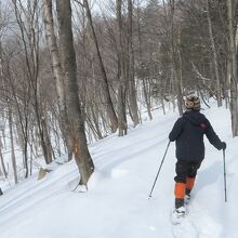 石楠花平の森の中を動物の足跡を探しながら歩く