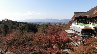 京都に行くと絶対に外せない観光場所ですが、肝心の清水の舞台が改修中でした