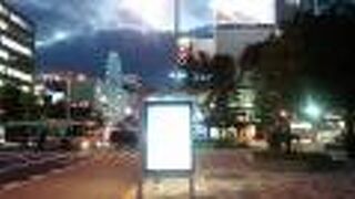 地上を走ってしっかり景色を楽しめておすすめです。