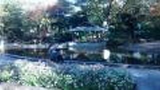 きれいな池で周囲の花々が最高にきれいでした。