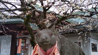 梅がちらほら咲いてました