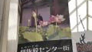 観光スポット「ならまち」につながる古くて新しい商店街！