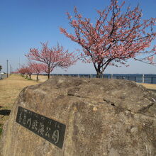 養老川臨海公園