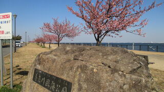 養老川臨海公園