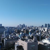 東京ゲートブリッジに豊洲のビル群