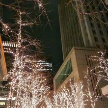 可愛いイルミネーション