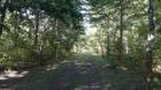 地図上、多数の散策路があるように見えますが・・・