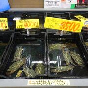 特産の竹崎ガニが売られていました