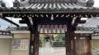 椿が有名なお寺