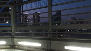 夜景がきれい