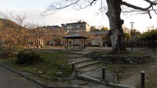 八坂神社の東にある大きな公園、桜で有名な都市公園