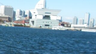 海の目の前にある公園