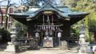 富士塚や大銀杏があり、堂々とした本殿を持つ神社です