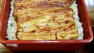 共水うなぎの美味しさ