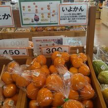 みかんがたくさん