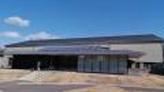 無料で見られます