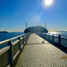 島は国の天然記念物だそうです