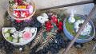 うさぎがたくさん