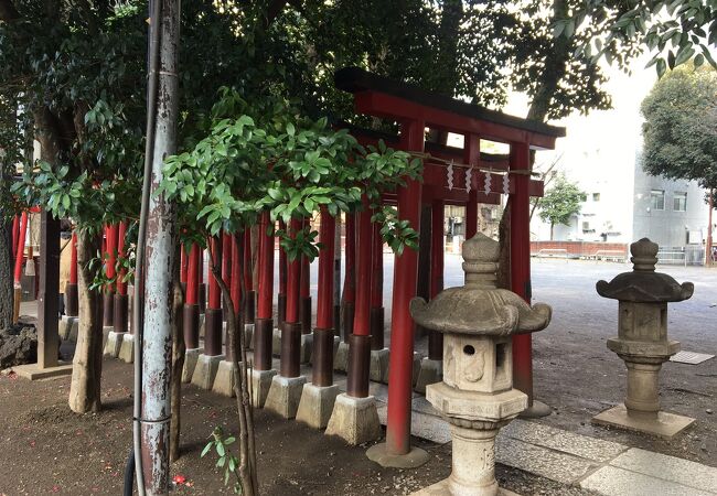 赤い鳥居が並ぶ花園神社内の稲荷神社