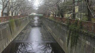 これからがにぎやかになります