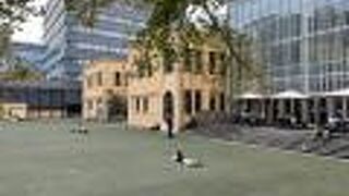 入館無料の日があります