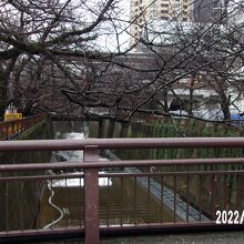 別所橋からの景観です。