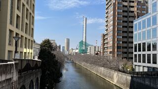 目黒川(桜並木) 