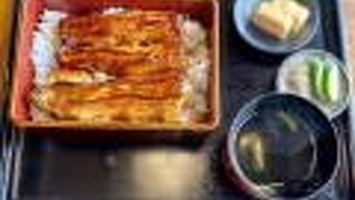 浜名湖うなぎ だいだら