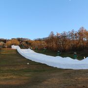 紅葉の散策をしました